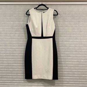 WHBM Work Dress Shift Size 8